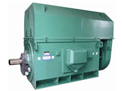 Y5601-8/800KWY系列6KV高压电机