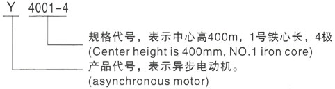 西安泰富西玛Y系列(H355-1000)高压Y5601-8/800KW三相异步电机型号说明